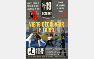 ZOOM SUR LE TAÏSO