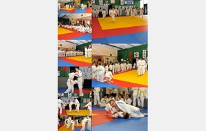 Remise de Grade juin 2011-1.jpg
