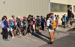 DSC_3528.JPG
