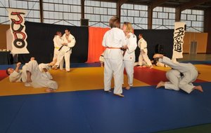 DSC_0327.jpg