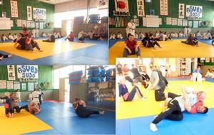 5cec42e734897_MiniPoussins2.jpg