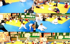 5cec4309c080a_MiniPoussins4.jpg