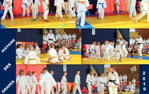 5d1d8ac656472_3.jpg