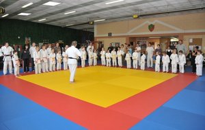 DSC_1515.jpg