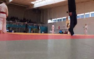 Test Efficacité Combat BESANCON 29.03.2015 David BERNARD