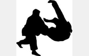 PASSAGE DE GRADE KATAS &amp; TEC