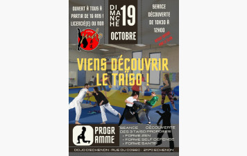 ZOOM SUR LE TAÏSO : DIMANCHE 19 OCTOBRE 10H30-12H00