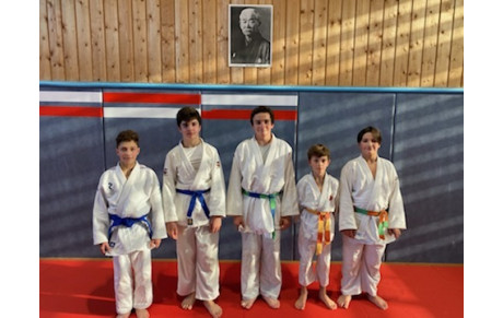 UN GROUPE DE JUDOKAS AU STAGE DEPARTEMENTAL