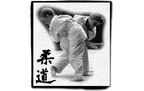 RESULTATS DE L'INTERCLUBS DU JUDO CLUB FONTAINOIS