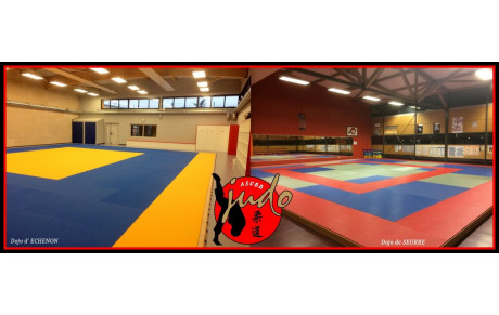 ORGANISATION DES COURS 2022 2023