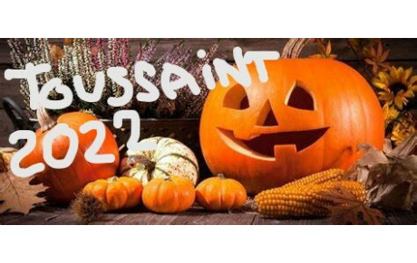 PLANNING D'ACTIVITES TOUSSAINT 2022 ET PONT DU 11 NOVEMBRE