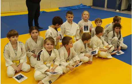 GROUPE SPORTIF MINI POUSSINS