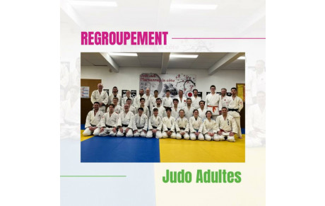 REGROUPEMENT JUDO ADULTES CLUBS AMIS