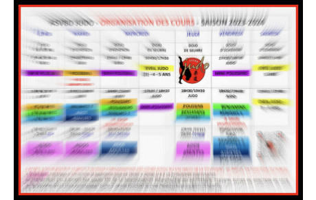 ORGANISATION DES COURS 2023-2024