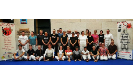 REGROUPEMENT TAISO CLUBS AMIS