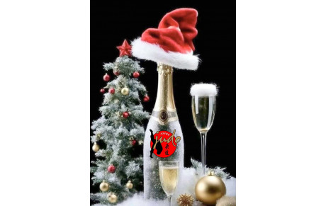 RECAP EN IMAGES DES COURS NOËL 2024